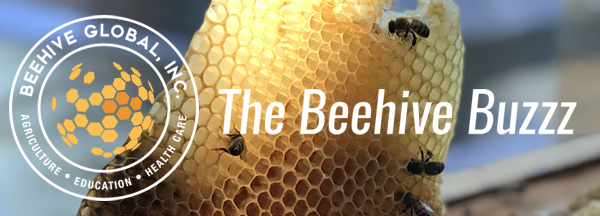 Newsletters Beehive Global