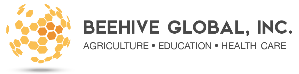 beehive-global_logo-horiz